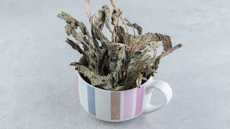 El truco casero que revive tus plantas marchitas en 15 días: solo necesitas cúrcuma