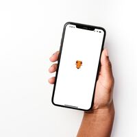 Qué es una wallet de criptomonedas y como configurar una: Metamask