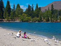 Cinco cosas gratis que hacer en Queenstown, Nueva Zelanda
