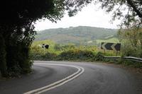 El día en el que no te tocaba morir 