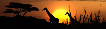 'Afrika': 10 minutos de gameplay
