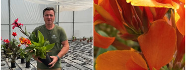 Ángel Illescas, experto en plantas: "Esta es la planta con flores de colores que vamos a tener florecida todo el verano" 