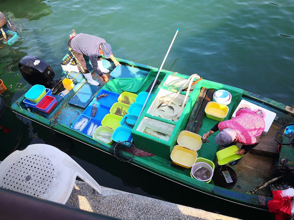 Un barco vasco busca cocinero para una gran travesía. Requisitos: saber cocinar como en el Siglo XVI y querer vivir como hace 500 años