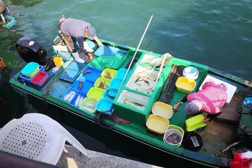 C Chiba Wj80nsids4e Unsplash