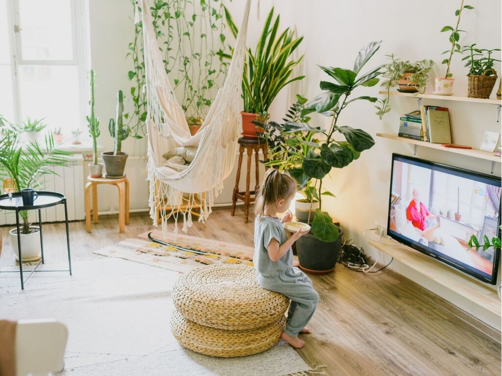Así puedes mantener la casa fresca este verano con plantas de interior: consejos y cuidados sencillos