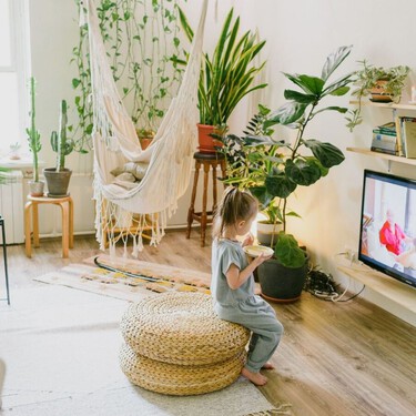 Así puedes mantener la casa fresca este verano con plantas de interior: consejos y cuidados sencillos 