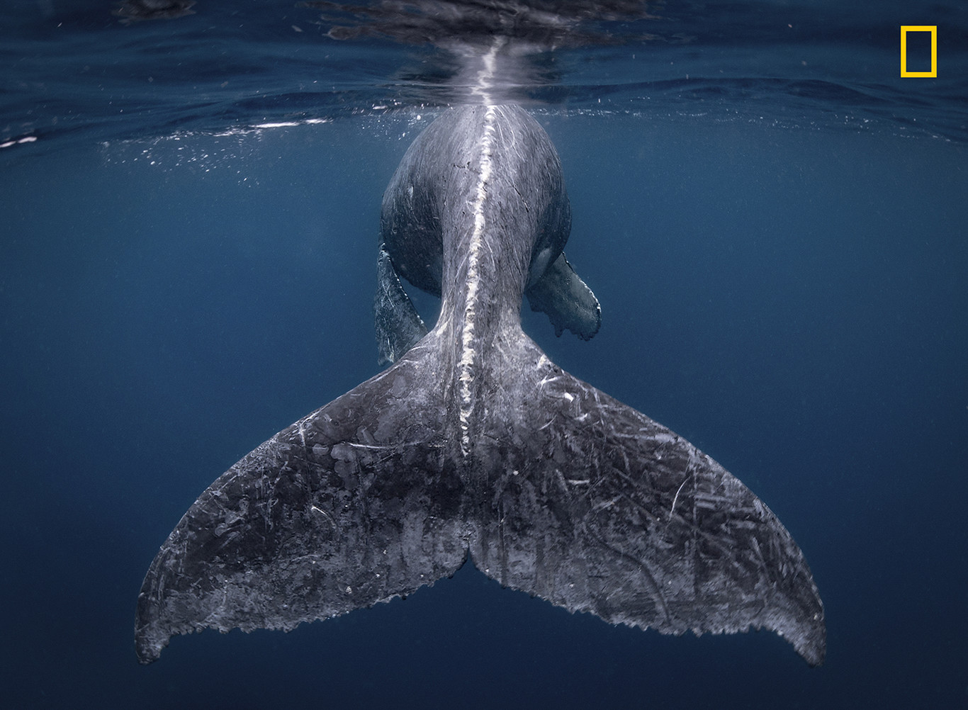 Ganadores National Geographic Travel Photographer of the Year 2018