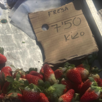 En plena semana de San Valentín, las fresas han alcanzando cifras nunca vistas en media Europa. El problema no es el amor, es España 