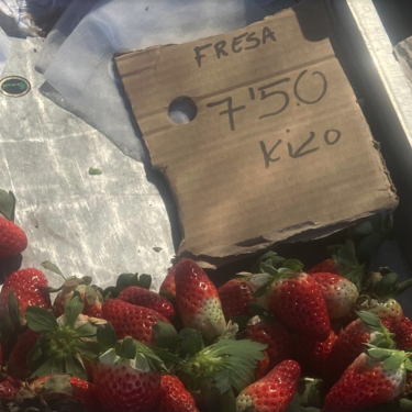 En plena semana de San Valentín, las fresas han alcanzando cifras nunca vistas en media Europa. El problema no es el amor, es España 