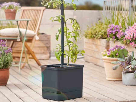 Torre Para Plantas Con Deposito De Agua Zoom 2