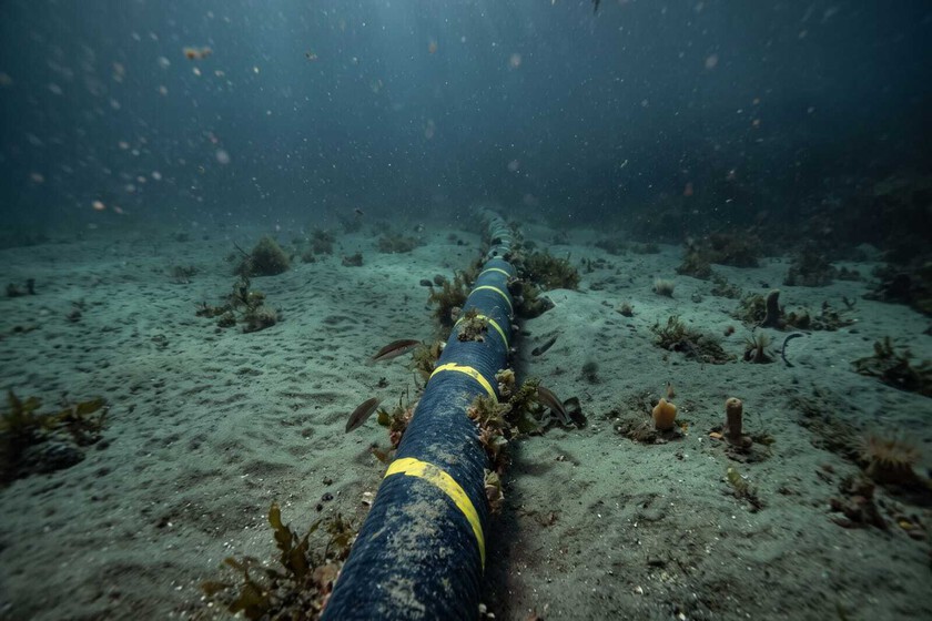 Cable Submarino