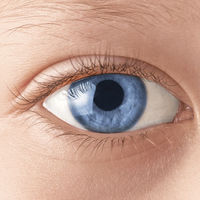 El emocionante vídeo de un niño daltónico de 12 años al ver el mundo en colores por primera vez