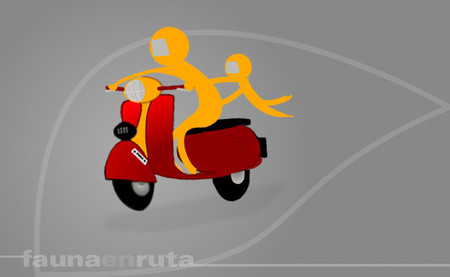 fauna en ruta - sistemas de retención infantil