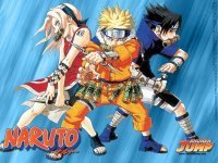 Naruto saldrá en USA