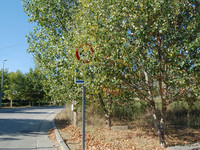 El mal estado de las carreteras, denunciado por la AEC