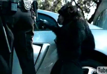 El mono en el maletero que te ayuda en el día a día