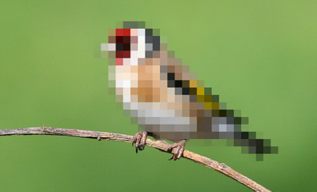 Mozjpeg: Mozilla quiere reducir el tamaño de las webs mejorando la compresión de sus imágenes