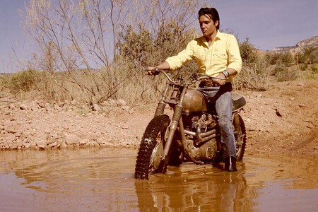 Triumph Elvis 2 2023