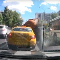 Y ahora, un día de mierda (literalmente) cuando explota a tu lado un camión de desatrancos