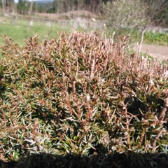 Foto 11 de 19 de la galería wiko-ridge-4g-camara en Xataka Android