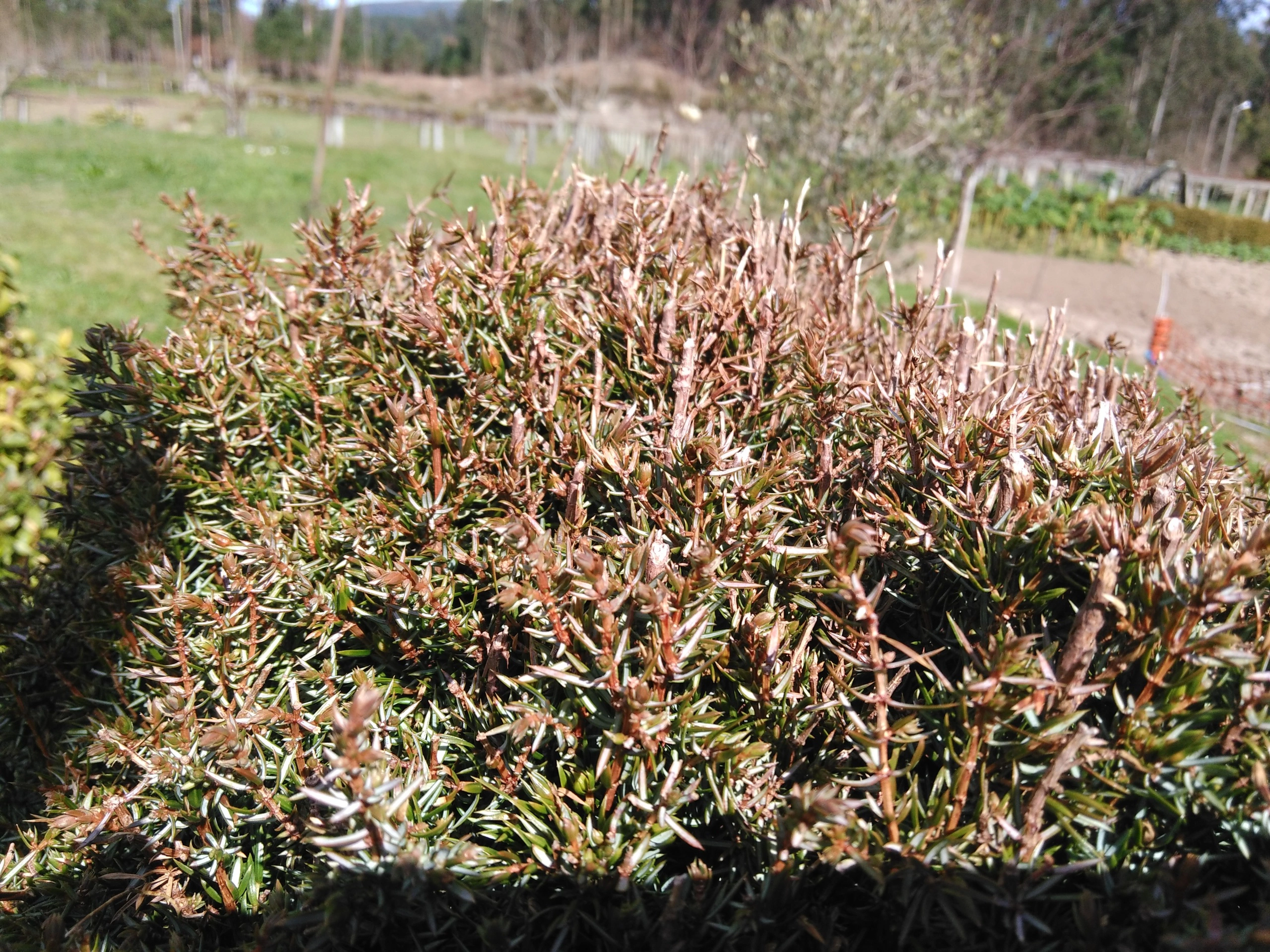 Foto de Wiko Ridge 4G, cámara (11/19)