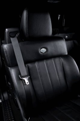 ford F-150 harley davidson