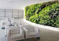 Nuevas salas vip de Qantas en los aeropuertos de Melbourne y Sydney 