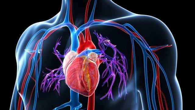 Desarrollan una tecnología para que un altavoz inteligente sepa con antelación si estamos sufriendo un paro cardiaco