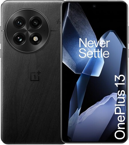 OnePlus 13