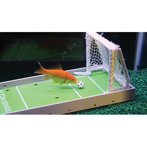 Adiestramiento para peces