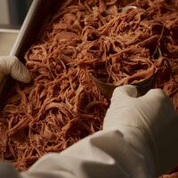 El precio de la carne está por las nubes. Una industria tiene una oportunidad de oro: la carne artificial