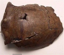 Ésta fue la primera víctima de un tsumani que conocemos