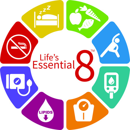 Aha Life S Essential 8 Circle Graphic