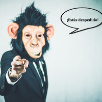 Los despidos objetivos por faltas de asistencia justificada ya han comenzado