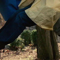 Hoy gratis en streaming, una de las mejores películas de los últimos años. Un drama poco convencional que mezcla ternura y melancolía 