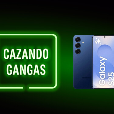 Cazando Gangas