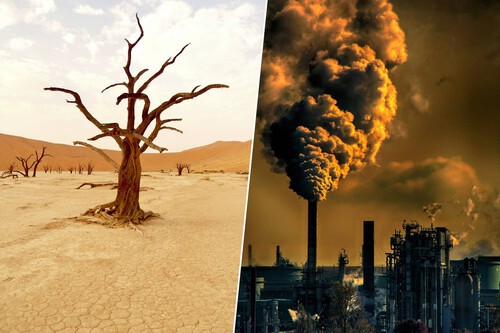 Enterrar carbono / Imagens: Peter Burdon