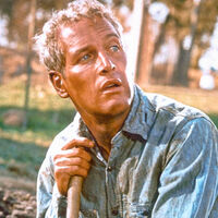 En 1997 Paul Newman donó 3 hectáreas de su finca a Connecticut; 14 años después forman parte de una reserva forestal 