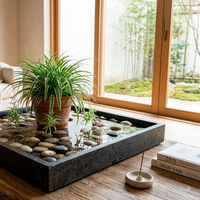 Una bandeja con guijarros y agua bajo tus plantas: un truco fácil para reducir la temperatura y controlar la humidificación en tu casa
