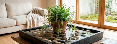 Una bandeja con guijarros y agua bajo tus plantas: un truco fácil para reducir la temperatura y controlar la humidificación en tu casa