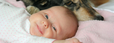Cómo preparar a tu perro para la llegada del bebé: nueve consejos para que el primer encuentro entre ambos sea maravilloso