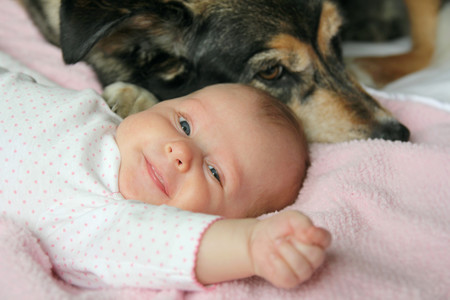 Cómo preparar a tu perro para la llegada del bebé: nueve consejos para que el primer encuentro entre ambos sea maravilloso