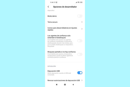Opciones De Desarrollador