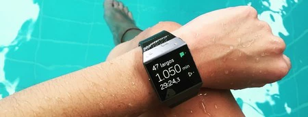 画像: ビトニカ。