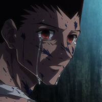 'Hunter x Hunter' nos tiene esperando el final desde hace décadas, pero el mayor crítico de su autor está en su propia casa: "No lo va a terminar nunca" 
