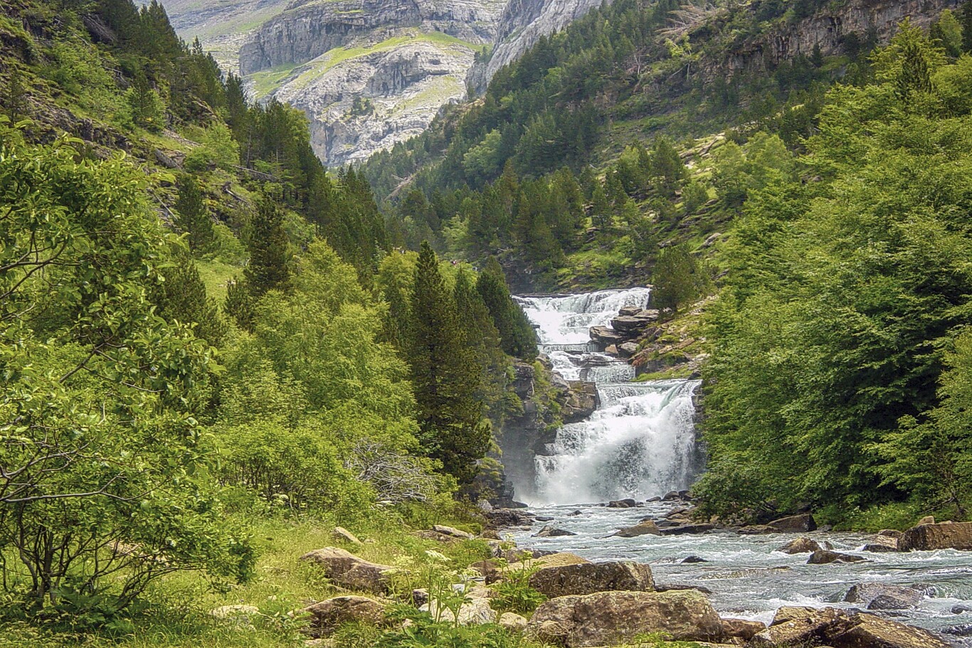 Compañeros de Ruta: seguimos viajando y disfrutando de la naturaleza