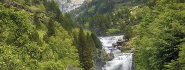 Compañeros de Ruta: seguimos viajando y disfrutando de la naturaleza