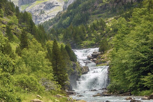 Compañeros de Ruta: seguimos viajando y disfrutando de la naturaleza
