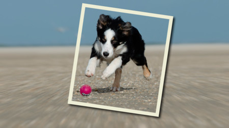Tutorial Photoshop: cómo destacar al protagonista de tus fotos