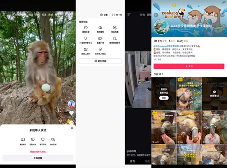 TikTok permite hacer scroll en los vídeos sin un usuario registrado. Para ello hace falta un número de teléfono